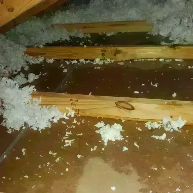 Attic Water Damage in Creston, OH